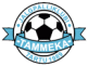 Kasutaja avatar